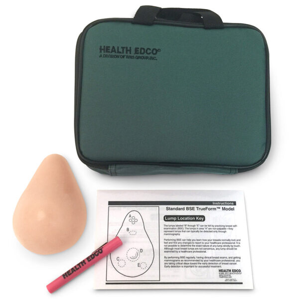 Nasco BSE TrueForm Model Beige Meadows Medical Supply