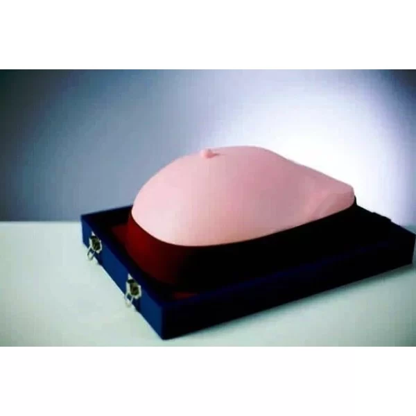 Visual Tactile Breast Examination Simulator KK-M44