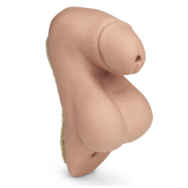 Nasco Replacement Patient Care Male Genitalia