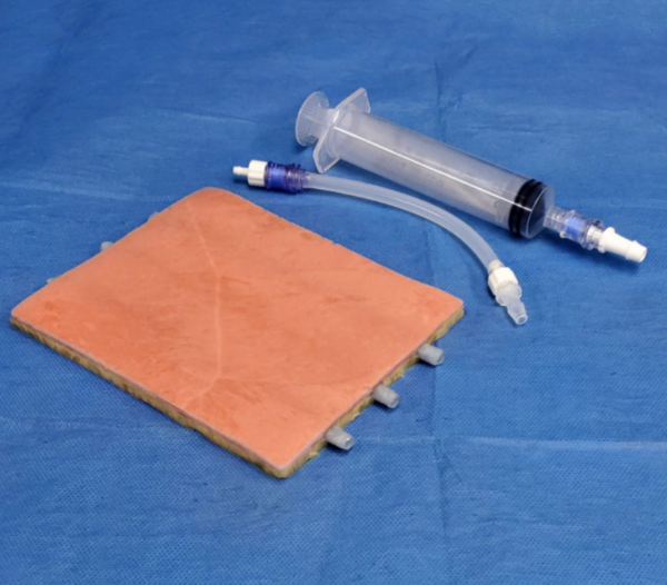 Nasco Small Peripheral Embedded Veins Venipuncture Model