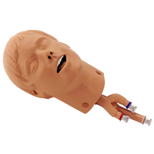 Nasco Intubation Head For Adult ALS/BLS Trainers