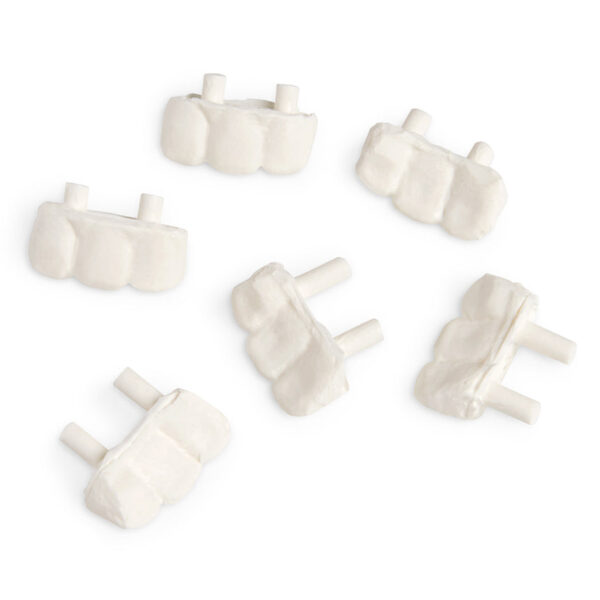 Nasco Patient Simulator STAT Replacement Teeth Set 3 Pack