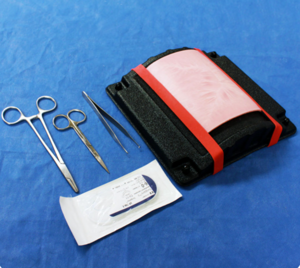 Nasco Skin Suturing Kit - LifeLike Double Layer Skin - Thin Dermis