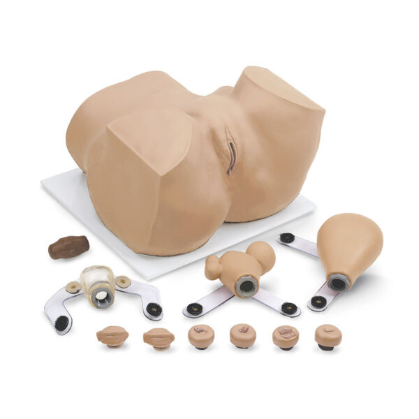 Nasco Eva Gynecologic Manikin with Carry Case [SKU: 160-1900]