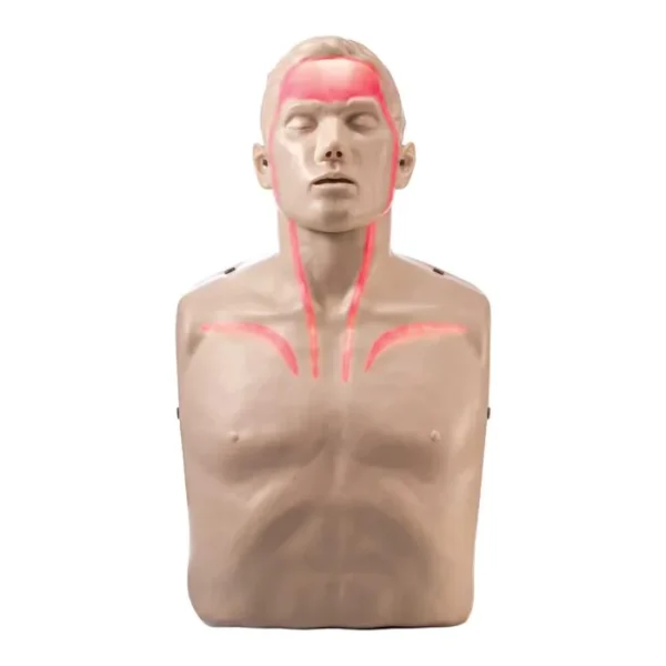 Nasco Brayden LED CPR Manikin with Blood Flow Circulation (Red Lights)