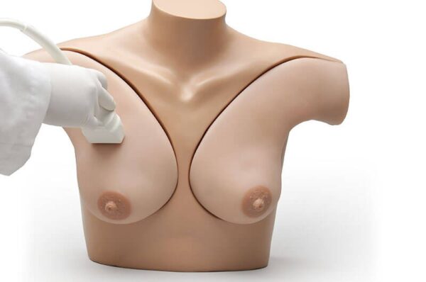 Gaumard Breast Phantom Ultrasound Simulator