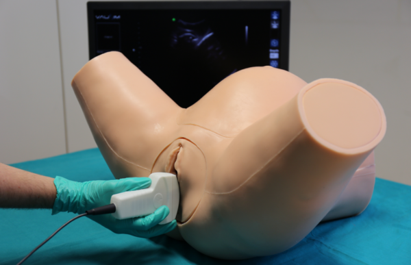 Nasco Advanced Ultrasound OBGYN Simulator [SKU: IUSIMAO]