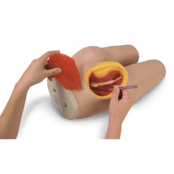 Nasco Life form Intramuscular Injection Simulator