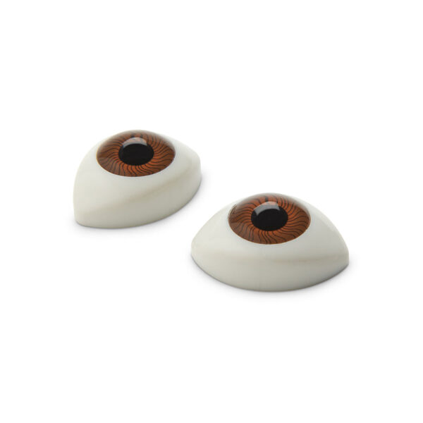 Nasco Life form Lucy Maternal and Neonatal Birthing Simulator Eyes Brown Set of 2