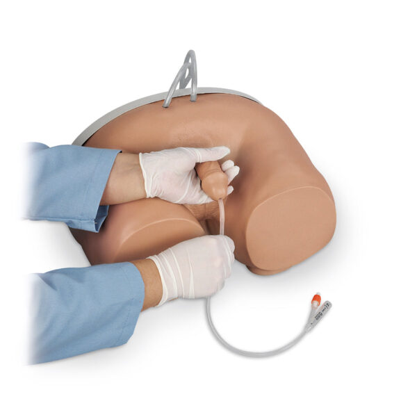 Nasco Life form Male Catheterization Simulator [SKU: LF00855]