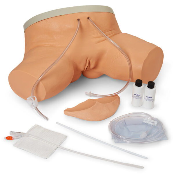 Nasco Life form Female Catheterization Simulator [SKU: LF00856]