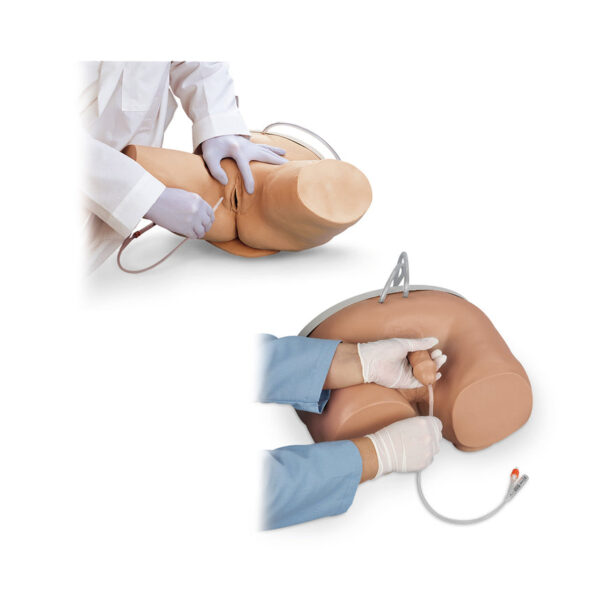 Nasco Life form Male & Female Catheterization Simulator Set