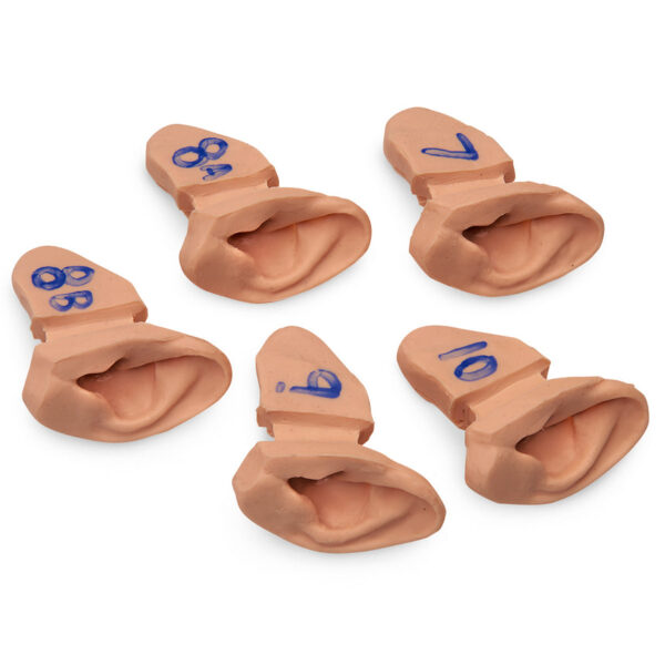 Nasco Life form Ear Examination Supplementary Set of Ear Replicas for Advanced Training [SKU: LF01020]