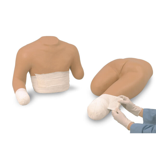 Nasco Life form Stump Bandaging Simulators Set of 2