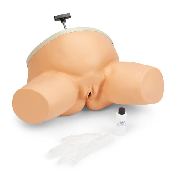 Nasco Life form Birthing Station Simulator [SKU: LF01070]