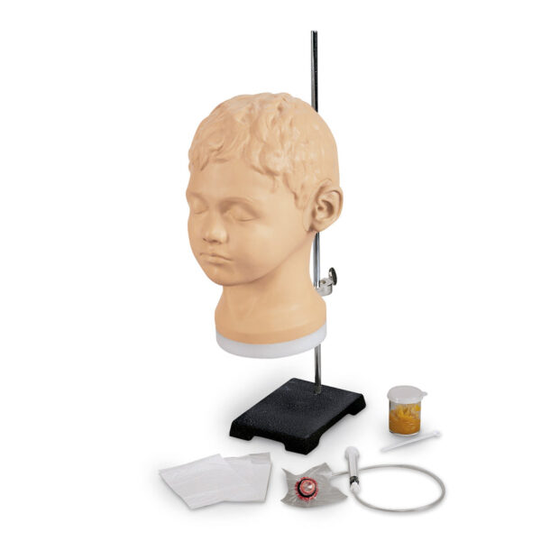 Nasco Life form Diagnostic and Procedural Ear Trainer [SKU: LF01090]