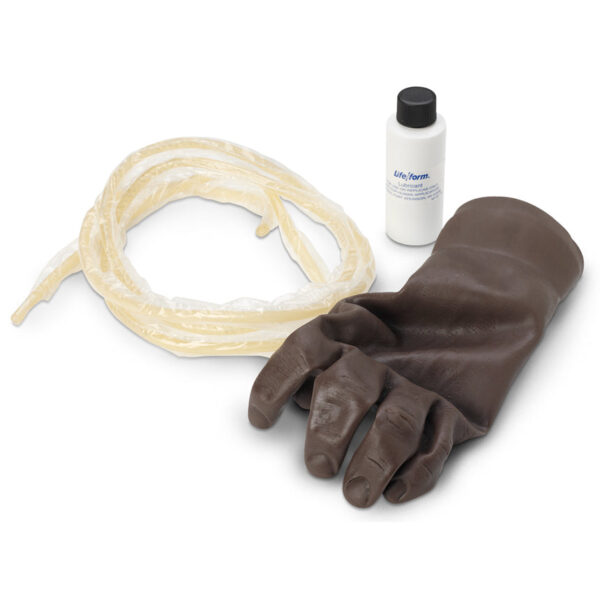 Nasco Life form Advanced IV Hand Replacement Veins [SKU: LF01141]