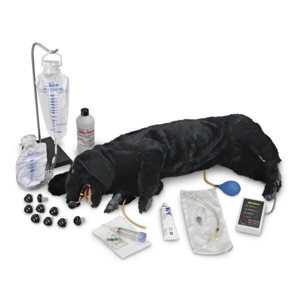 Nasco Life form Advanced Sanitary CPR Dog [SKU: LF01155]