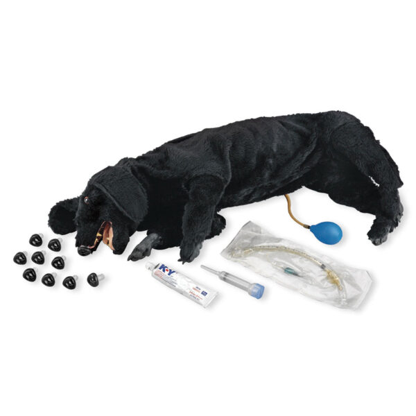 Nasco Life form Basic Sanitary CPR Dog [SKU: LF01156]