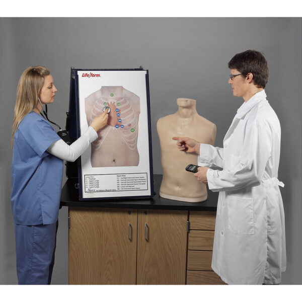 Nasco Complete Life form Auscultation Training Station [SKU: LF01191]