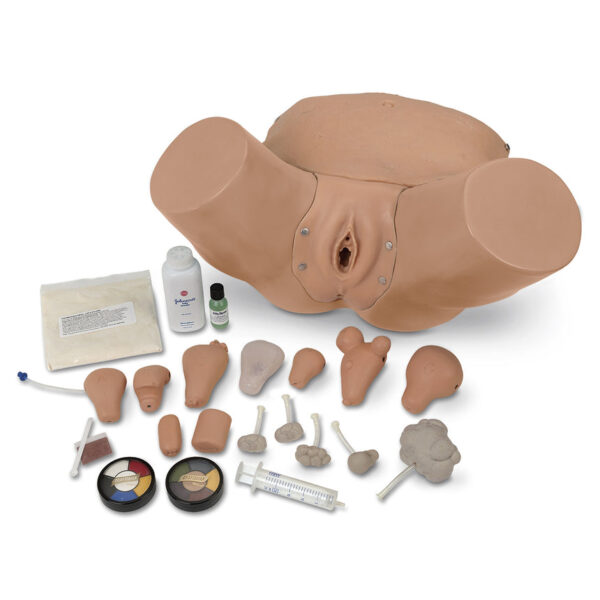 Nasco Life form Advanced Pelvic Examination and Gynecological Simulator [SKU: LF01235]