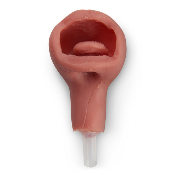 Nasco Replacement Airway