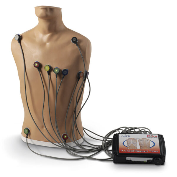 Nasco Life form 15-Lead ECG Placement Trainer [SKU: LF01300]