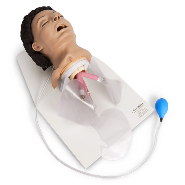 Nasco Life form Adult Airway Management Trainer with Stand [SKU: LF03601]