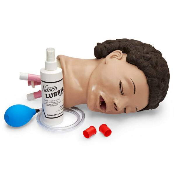 Nasco Life form Adult Airway Management Trainer Head Only [SKU: LF03603]