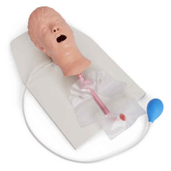 Nasco Life/form Child Airway Management Trainer with Stand [SKU: LF03609]