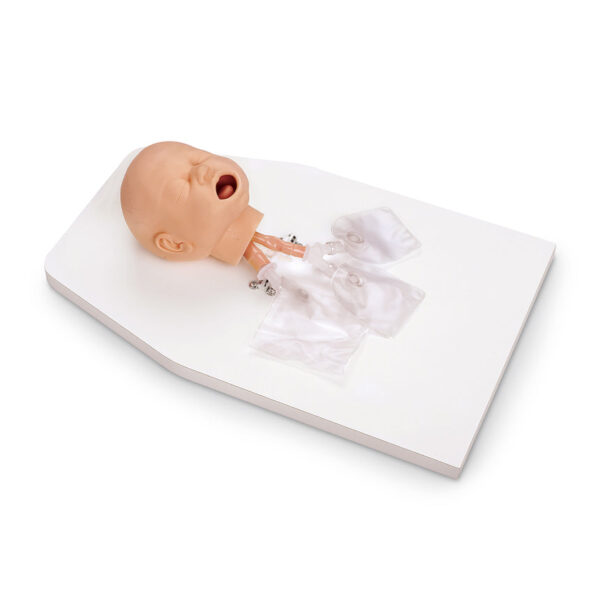 Nasco Life form Infant Airway Management Trainer with Stand [SKU: LF03623]