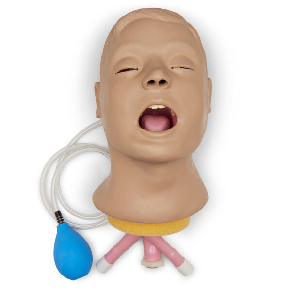 Nasco Life form Airway Larry Adult Airway Management Trainer Head [SKU: LF03667]