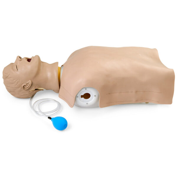 Nasco Life form Airway Larry Airway Management Trainer Torso [SKU: LF03669]