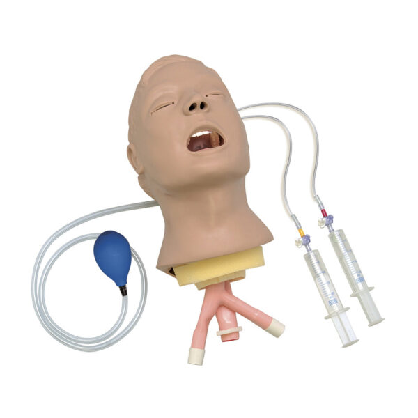 Nasco Life form Advanced Airway Larry Trainer Head [SKU: LF03684]