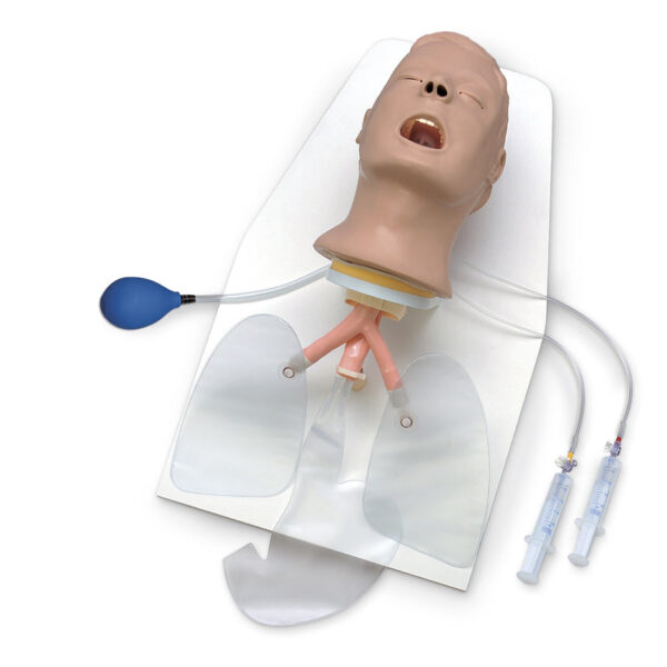 Nasco Life form Advanced Airway Larry Trainer Head with Stand [SKU: LF03685]