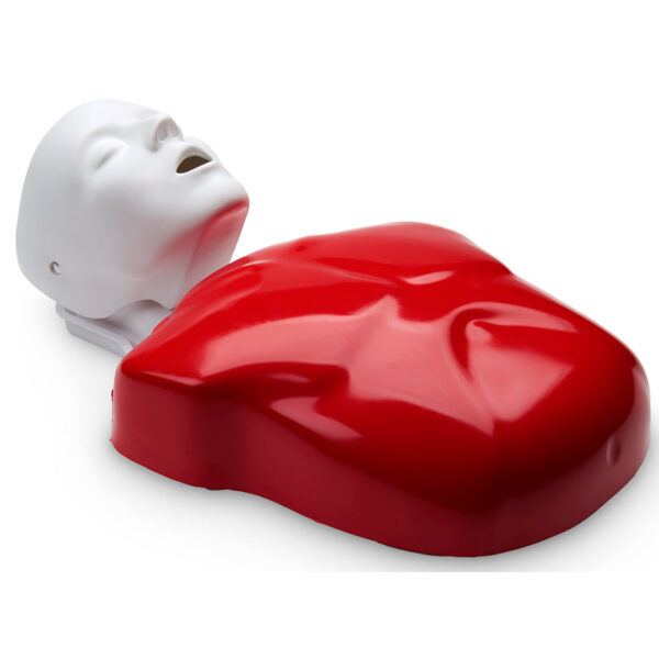 Nasco Basic Buddy Single CPR Manikin [SKU: LF03693]