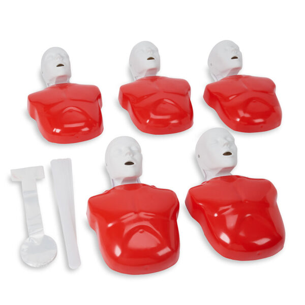 Nasco Life form Basic Buddy CPR Manikin 5 Pack