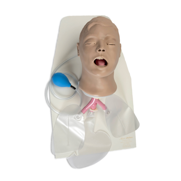 Nasco Airway Larry Adult Airway Management Trainer with Stand [SKU: LF03699]