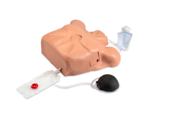 Nasco Life form Pericardiocentesis Simulator with Chest Tube and Pneumothorax [SKU: LF03769]