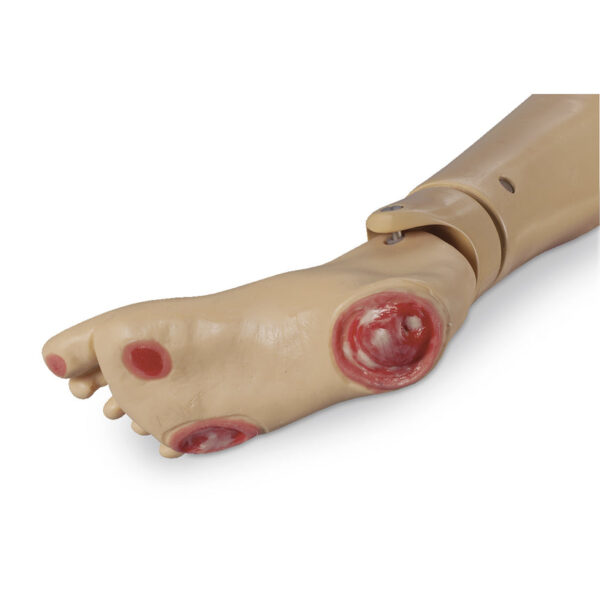 Nasco Life form GERi KERi Optional Pressure Injury Foot Light [SKU: LF04041]