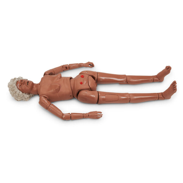 Nasco Life form Complete GERi Auscultation Manikin Medium [SKU: LF04118]