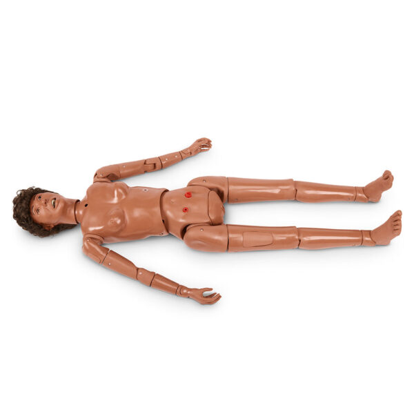 Nasco Life form Complete KERi Manikin Medium [SKU: LF04121]