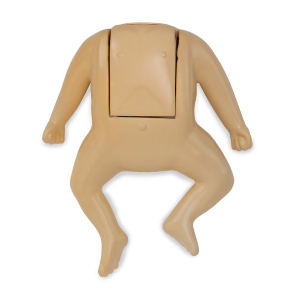 Nasco Infant Assembly Full Body Tan