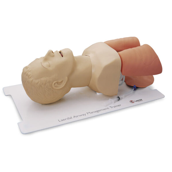 Nasco Laerdal Airway Management Trainer [SKU: LG01075]