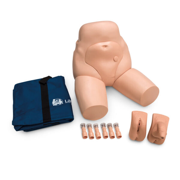 Nasco Interchangeable Catheterization & Enema Simulator