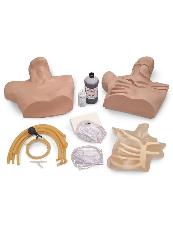 Nasco Life/form Central Venous Cannulation Simulator