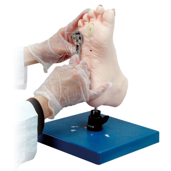 Kyoto Kagaku Medical Foot Care Simulator