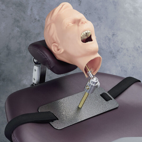 Nasco Pediatric X-Ray Dental Manikin