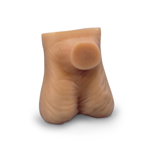 Nasco Testicle Model