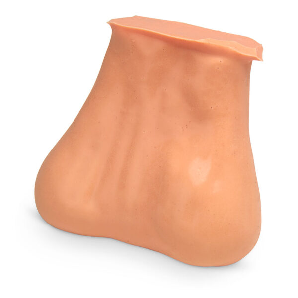 Nasco Testicle Model 2 Lumps in Each Testicle